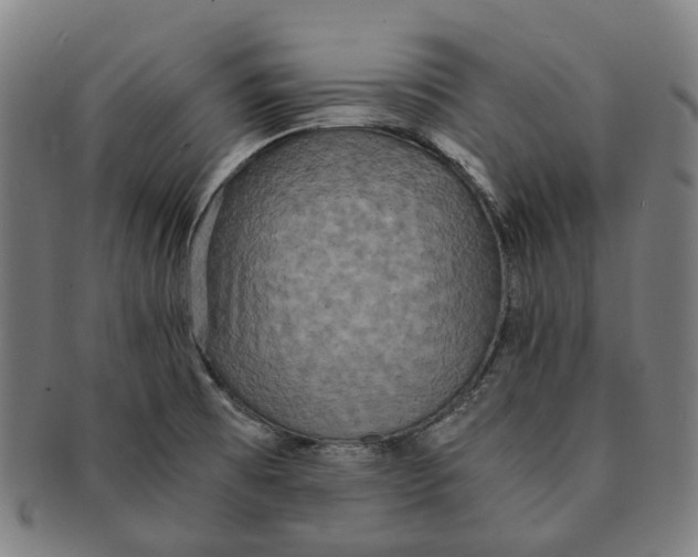 X0000090991473200708301301