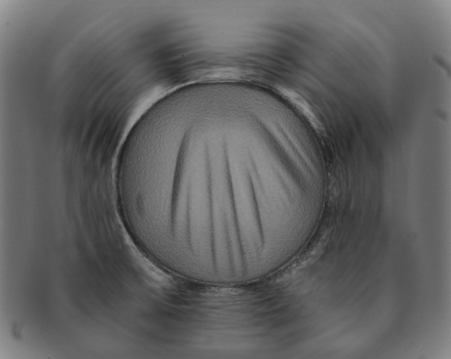 X0000090991475200708301301