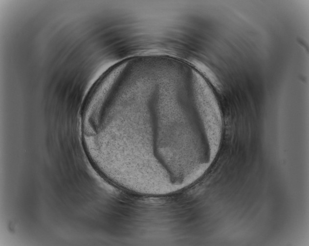 X0000090991476200708301301