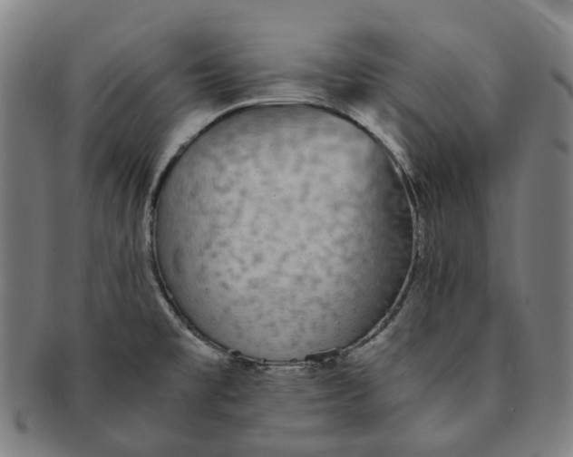 X0000090991477200708301301