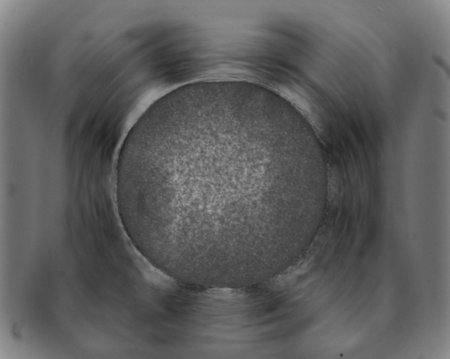 X0000090991478200708301301