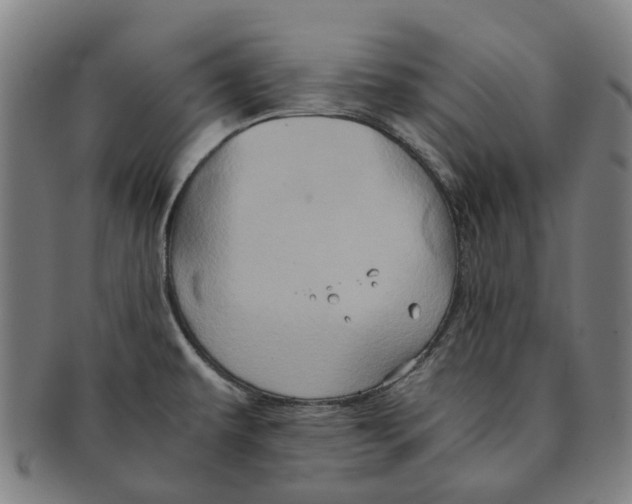 X0000090991479200708301301