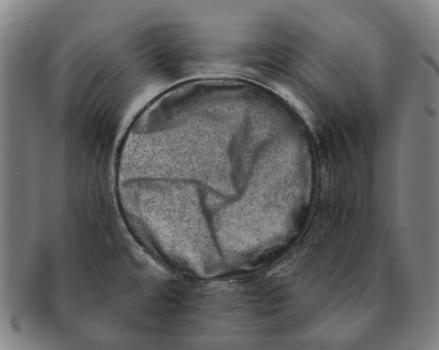 X0000090991480200708301301