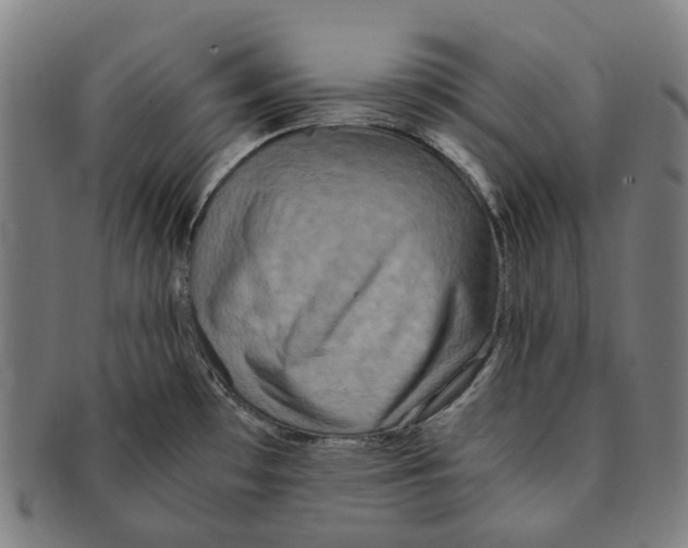 X0000090991481200708301301