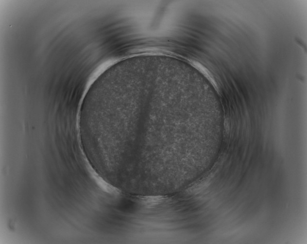 X0000090991482200708301301