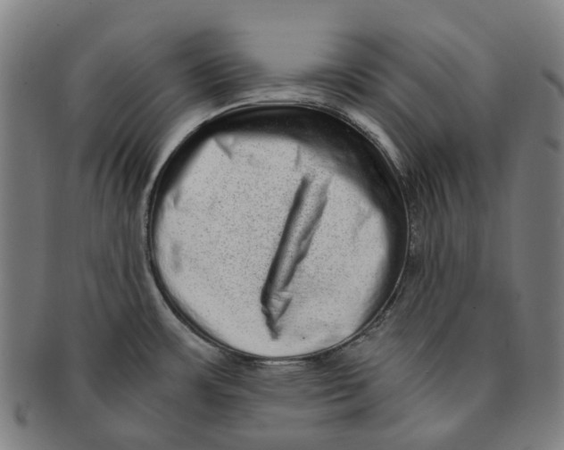 X0000090991483200708301301