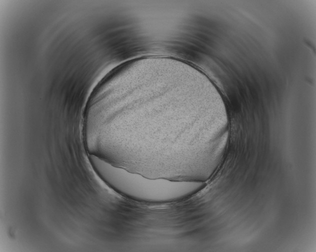 X0000090991484200708301301