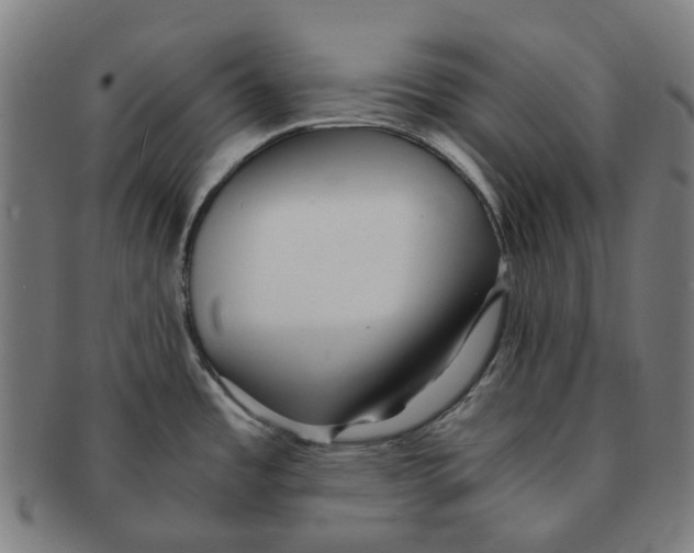 X0000090991485200708301301