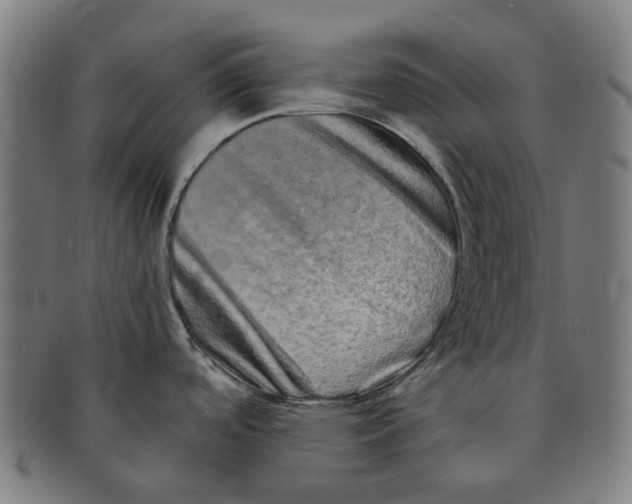 X0000090991488200708301301