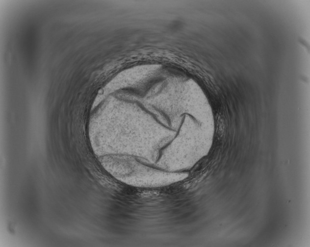 X0000090991489200708301300