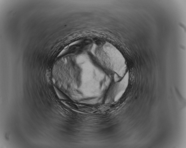 X0000090991490200708301300