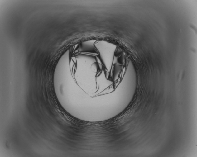 X0000090991492200708301300