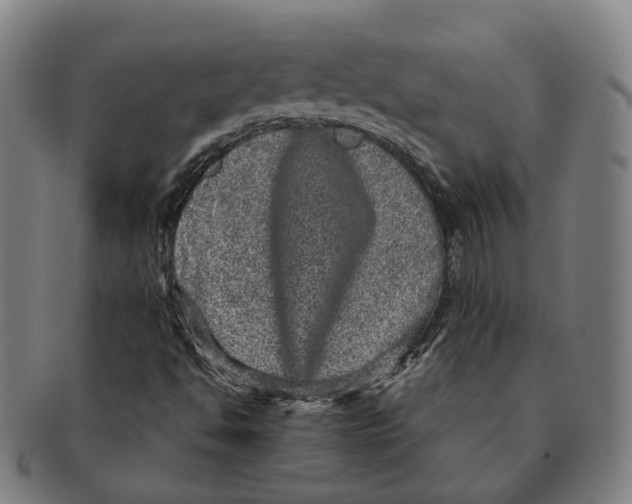 X0000090991494200708301300