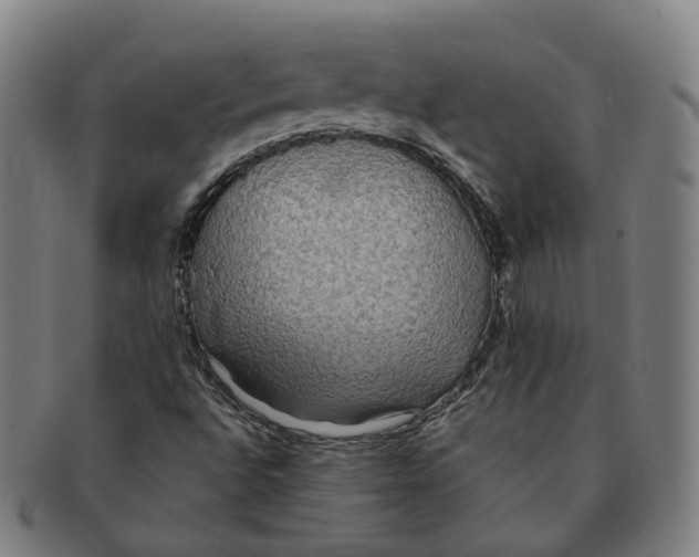 X0000090991496200708301300