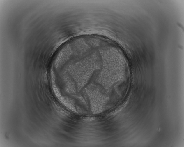 X0000090991497200708301300