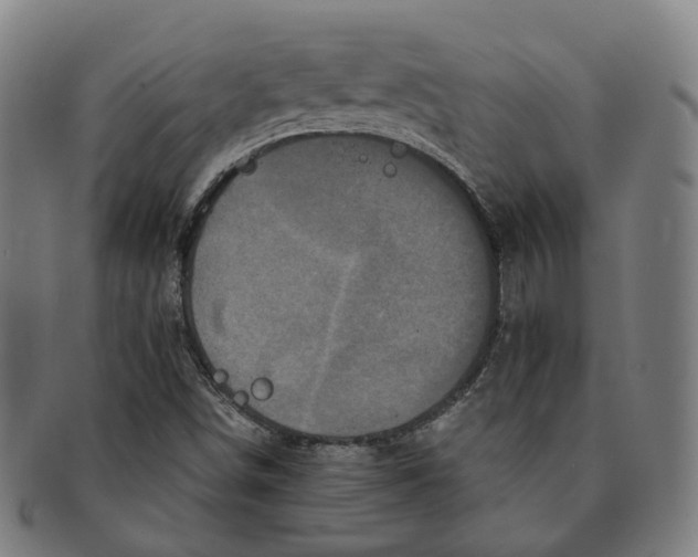 X0000090991498200708301300