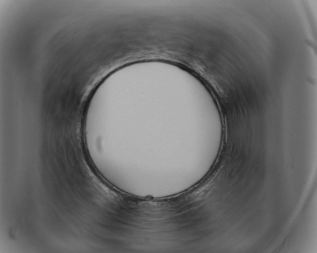 X0000090991500200708301300