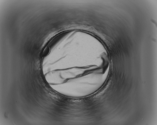 X0000090991501200708301300