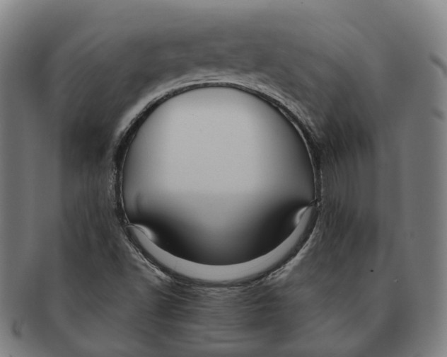 X0000090991502200708301300