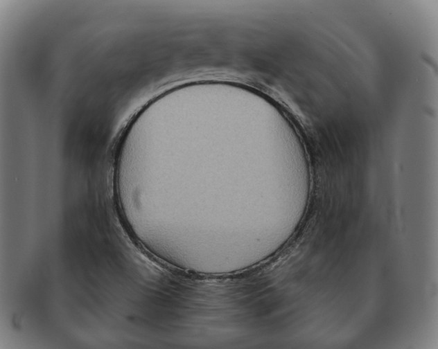 X0000090991504200708301301