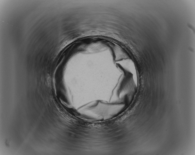 X0000090991505200708301301