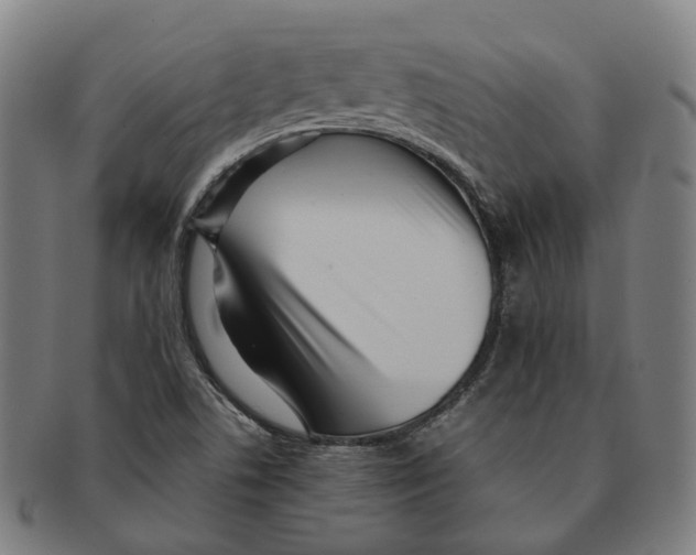 X0000090991506200708301301