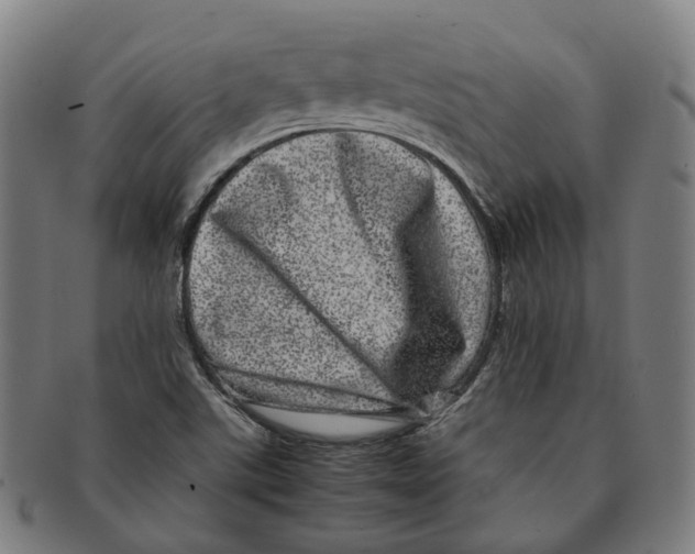 X0000090991507200708301301