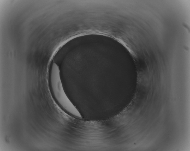 X0000090991508200708301301