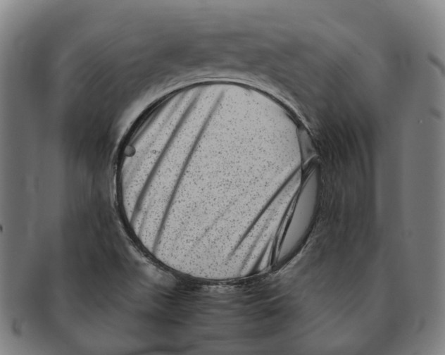 X0000090991511200708301301