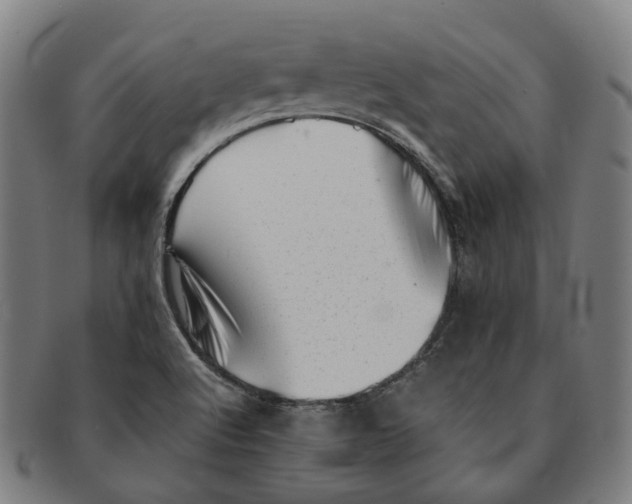 X0000090991512200708301301