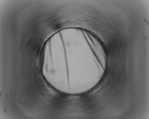 X0000090991513200708301301