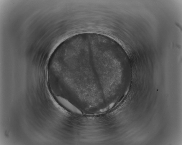 X0000090991515200708301301