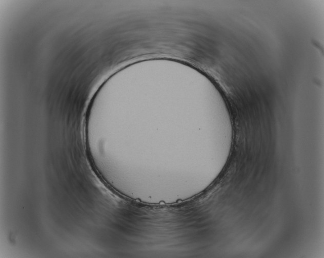 X0000090991516200708301301