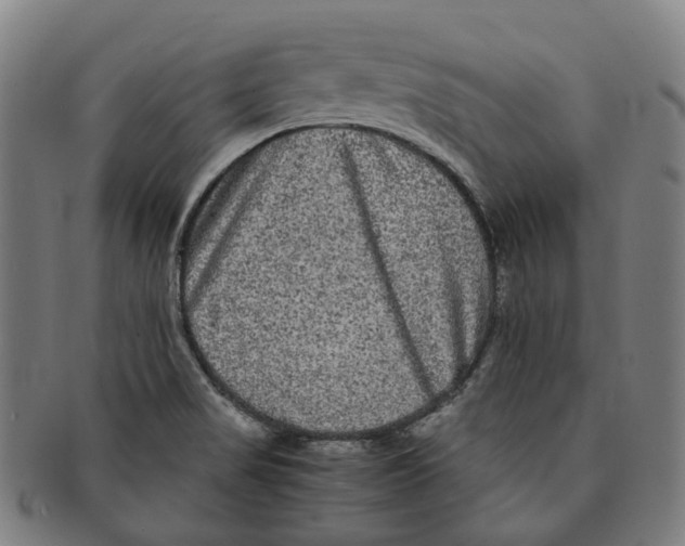 X0000090991517200708301301