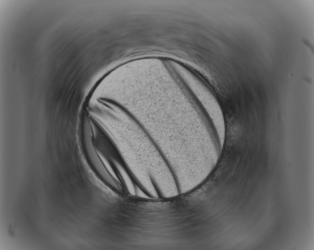 X0000090991518200708301301