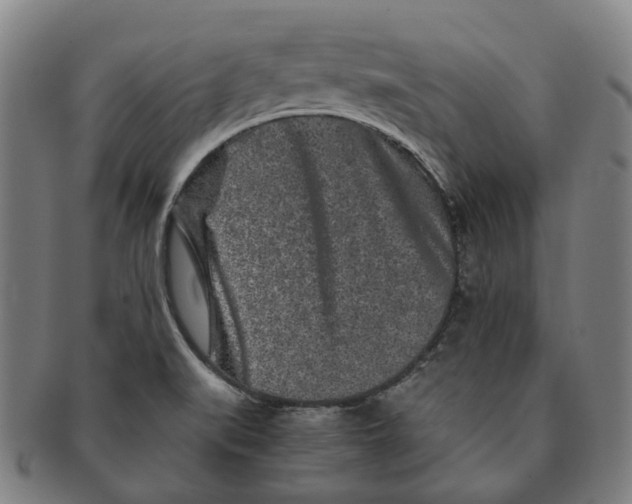 X0000090991519200708301301