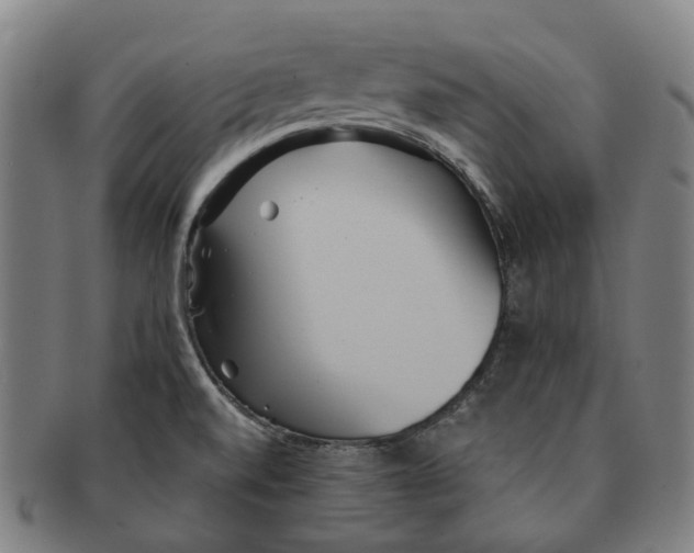 X0000090991520200708301301