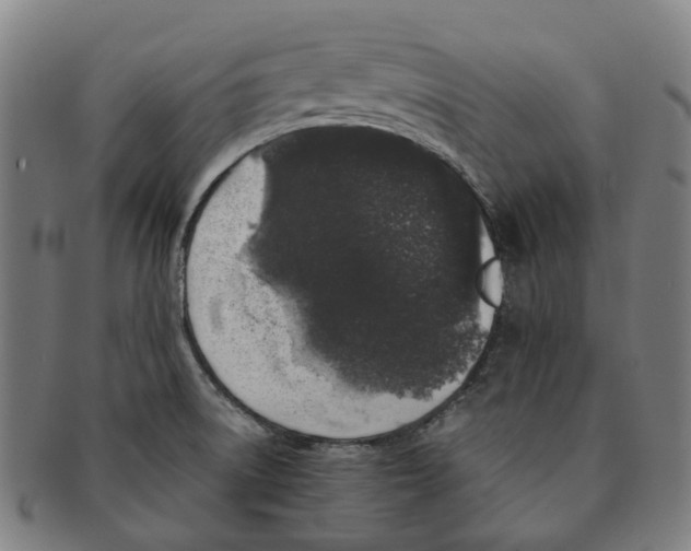 X0000090991522200708301301