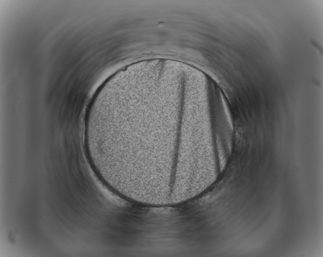 X0000090991523200708301301