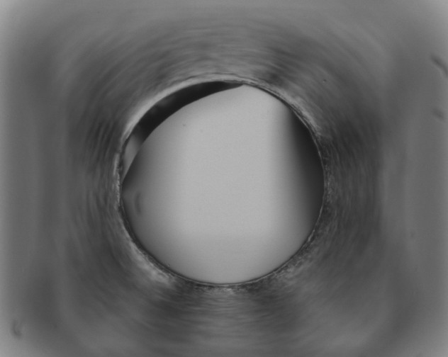 X0000090991524200708301301