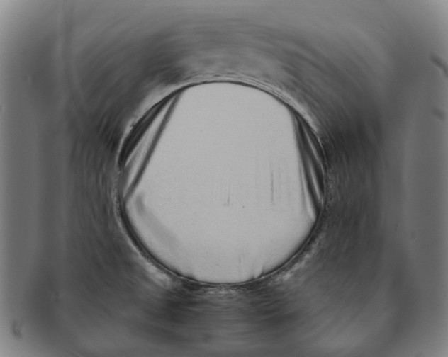 X0000090991525200708301301