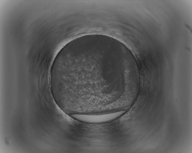 X0000090991527200708301301