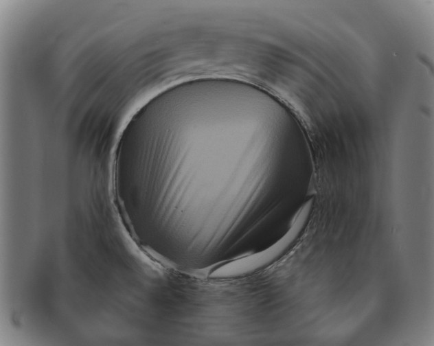 X0000090991528200708301301