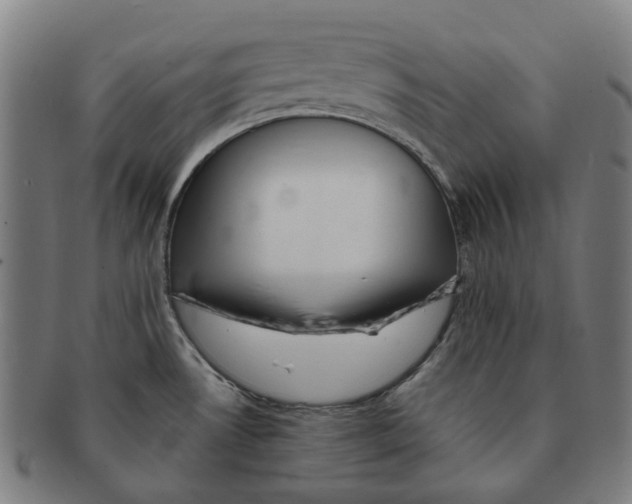 X0000090991530200708301301