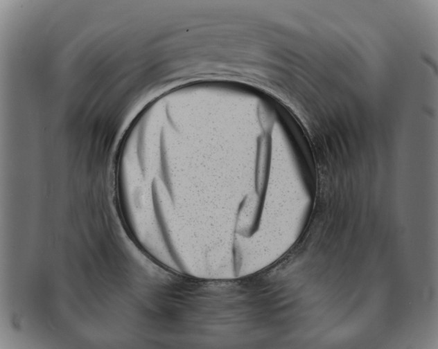 X0000090991531200708301301