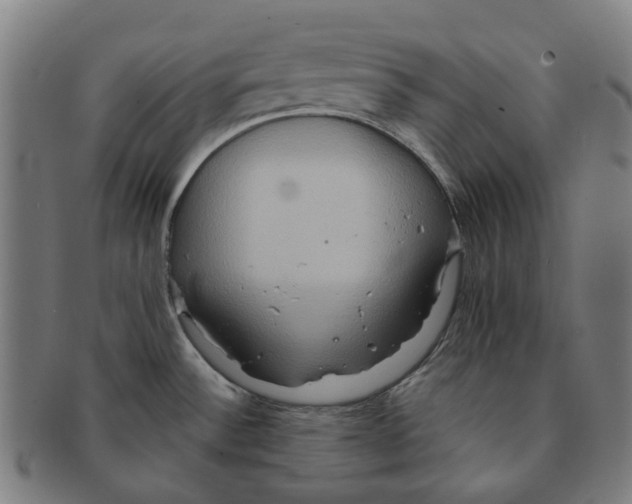 X0000090991532200708301301