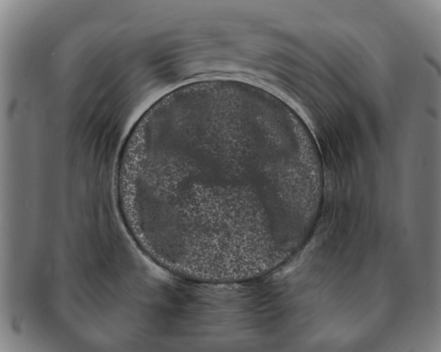 X0000090991533200708301301