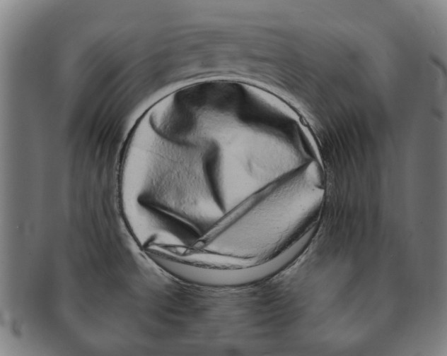 X0000090991534200708301301