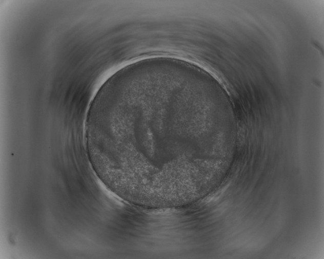 X0000090991535200708301301