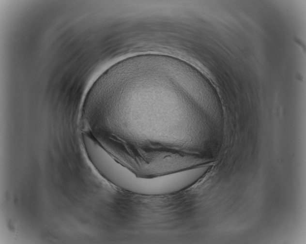 X0000090991536200708301301